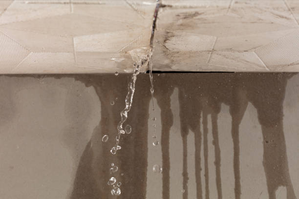 Professional Burst Pipe Cleanup technician working in Saint Clairsville, OH